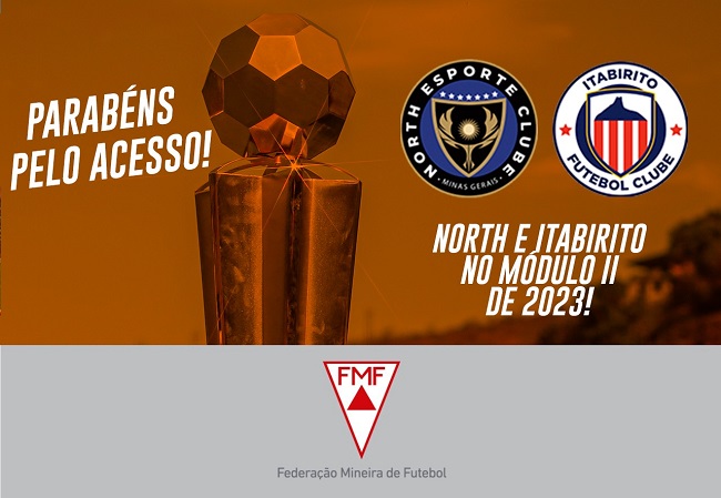 FEMFA - Federação Mineira de Futebol Americano - ::: CLASSIFICAÇÃO :::  Confira! Ainda faltam duas rodadas para finalizar a fase de grupos. Os dois  primeiros classificados de cada conferência seguirão para os